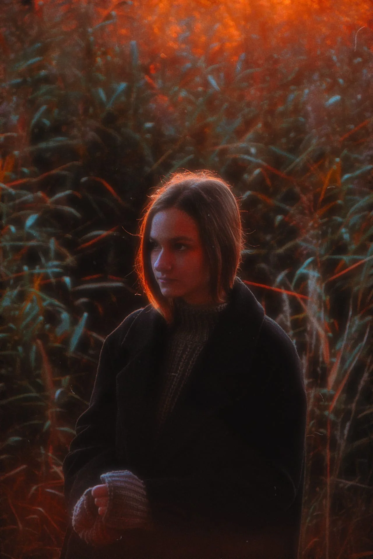 An outdoor portrait among tall reeds lit by warm sunset light