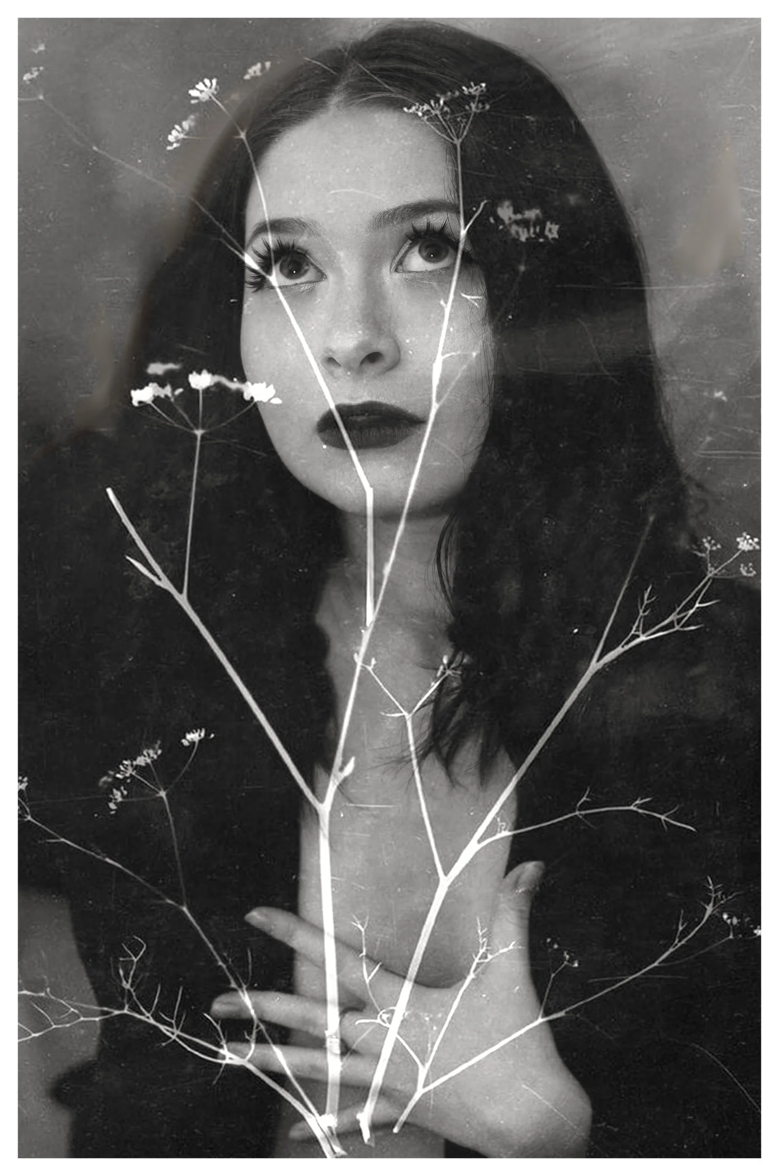 A black-and-white portrait framed by delicate dried stems and flowers